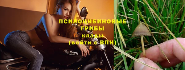 прущие крисы Абинск